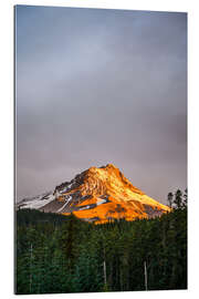 Tableau en plexi-alu Mount Hood at sunrise