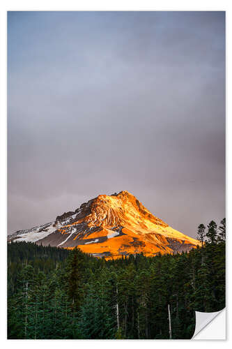 Sticker mural Mount Hood at sunrise