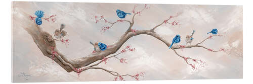 Akryylilasitaulu Magical Fairy Wrens