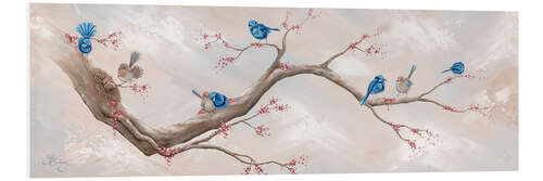 Foam board print Magical Fairy Wrens