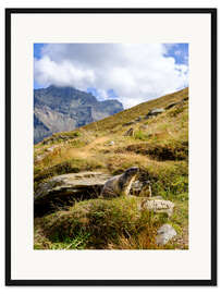 Gerahmter Kunstdruck Zwei Murmeltiere sitzen auf einer Almwiese