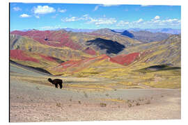 Aluminium print Rainbow Mountains with Alpaca