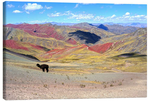 Quadro em tela Rainbow Mountains with Alpaca