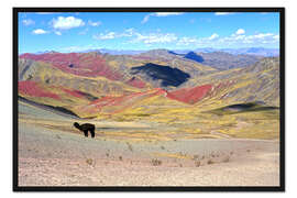 Gerahmter Kunstdruck Regenbogen Berge mit Alpaka