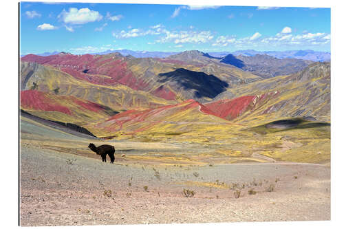 Gallery print Rainbow Mountains with Alpaca