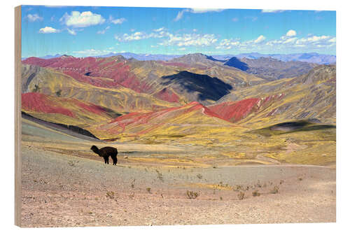 Wood print Rainbow Mountains with Alpaca