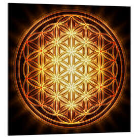 Quadro em alumínio Flower of Life - Gold Sun