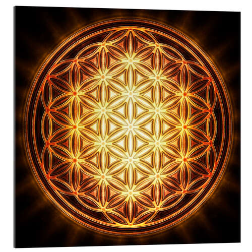 Gallery print Flower of Life - Gold Sun