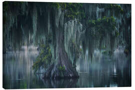 Canvastavla Atmospheric Swamp in Louisiana