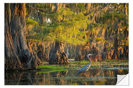 Selvklebende plakat Heron in the swamps of Southern USA