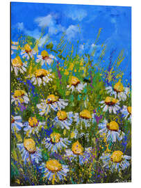 Aluminium print Daisy Meadow