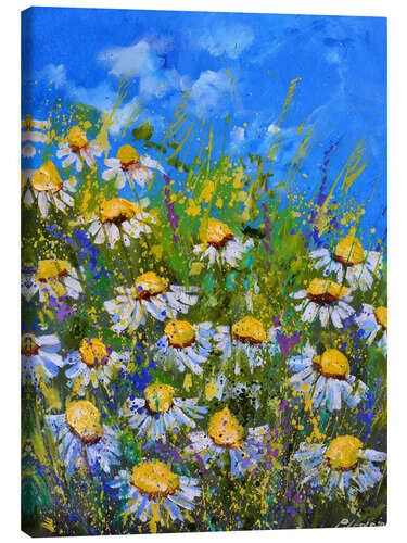 Canvas print Daisy Meadow