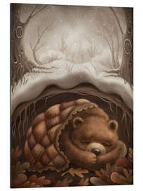 Gallery print Bear sleeping in its den