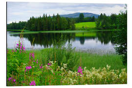 Cuadro de aluminio Lake-land countryside in Northern Europe