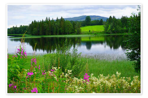 Poster Seenlandschaft in Nordeuropa