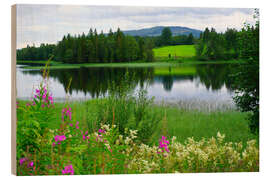 Hout print Lake-land countryside in Northern Europe