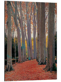 Aluminium print Avenue of Plane Trees, 1916