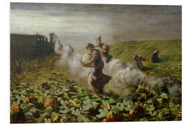 Tableau en PVC The Pumpkin Harvest, 1884