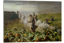 Gallery print The Pumpkin Harvest, 1884