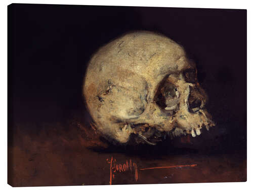 Lienzo Estudio de una calavera, 1883
