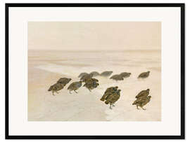 Kehystetty taidepainatus Partridges in the Snow, 1891