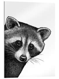 Quadro em plexi-alumínio Raccoon peeking out