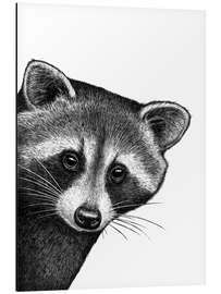 Magnettafel Waschbär schaut um die Ecke