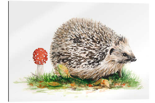 Quadro em plexi-alumínio Hedgehog and a toadstool