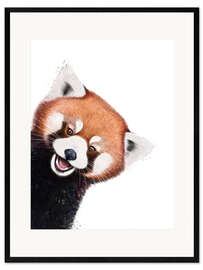 Ingelijste kunstdruk Little red panda