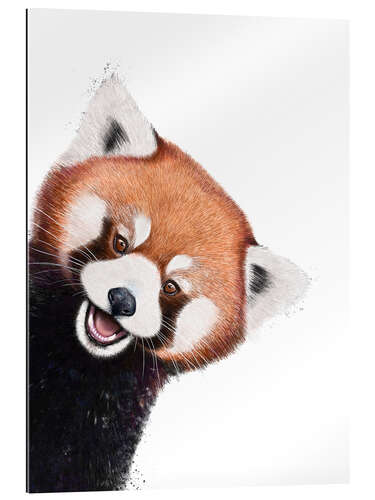 Stampa su plexi-alluminio Little red panda