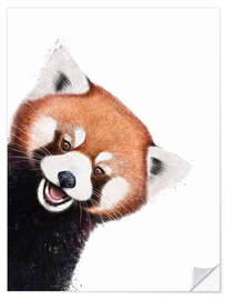 Selvklebende plakat Little red panda