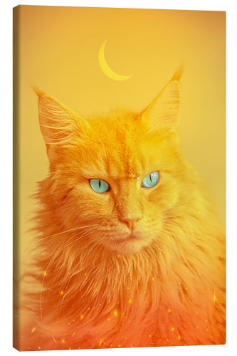 Canvas print Cat resembling a Phoenix