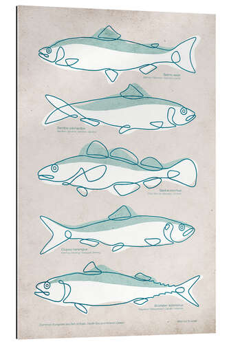 Quadro em plexi-alumínio Five fish with names