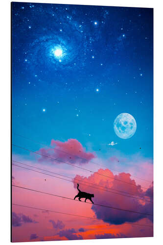 Aluminium print Cat on Electric Wire in front of the Night Sky