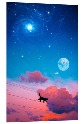 Galleriprint Cat on Electric Wire in front of the Night Sky