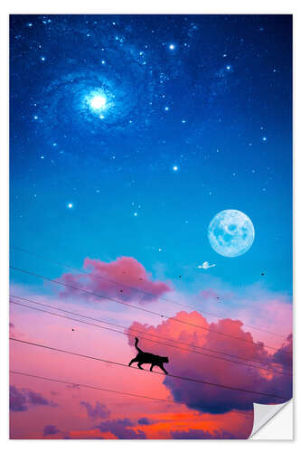 Sticker mural Cat on Electric Wire in front of the Night Sky