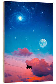 Puutaulu Cat on Electric Wire in front of the Night Sky