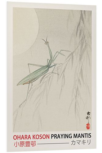 Foam board print Praying Mantis