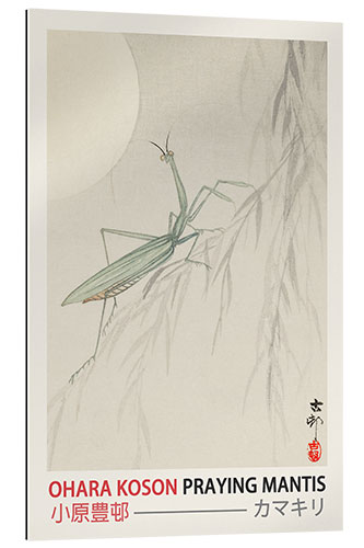 Galleriprint Praying Mantis