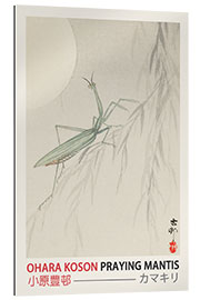 Gallery print Praying Mantis