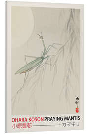 Magnettafel Praying Mantis