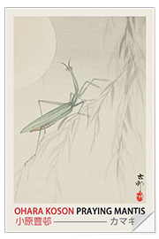 Wall sticker Praying Mantis