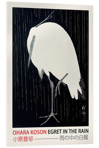 Acrylglasbild Egret in the Rain