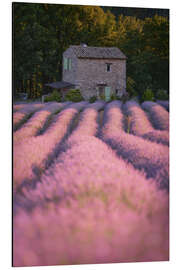 Magnettafel Haus im Lavendelfeld
