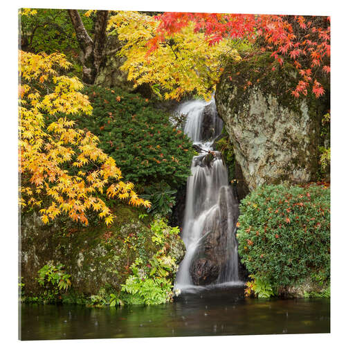 Acrylic print Waterfall in autumn