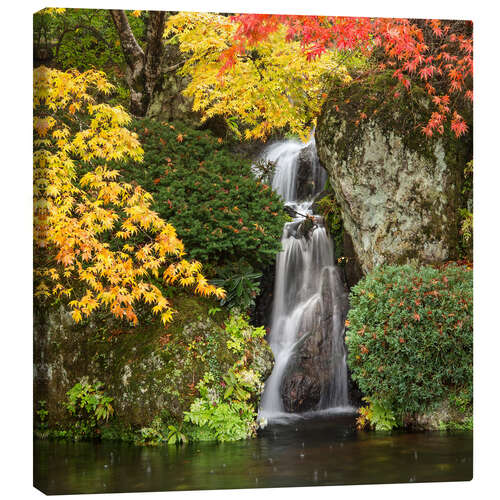 Canvas print Waterfall in autumn