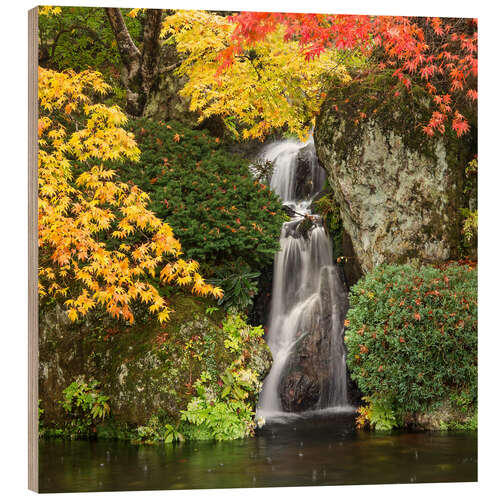 Stampa su legno Waterfall in autumn