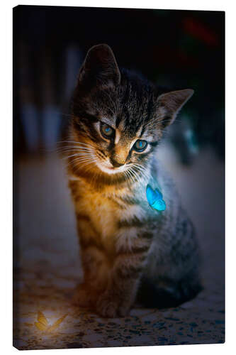 Canvas print Kitten admires blue Glowing Butterfly