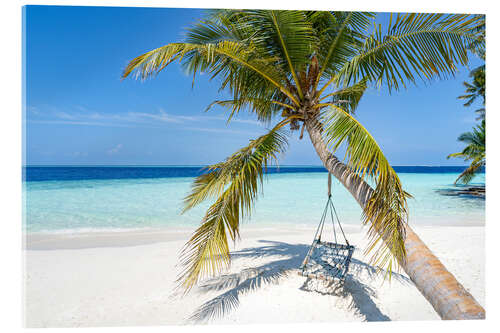 Acrylic print Coconut tree with swing