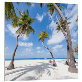 Magnettafel Palmenstrand in der Südsee II